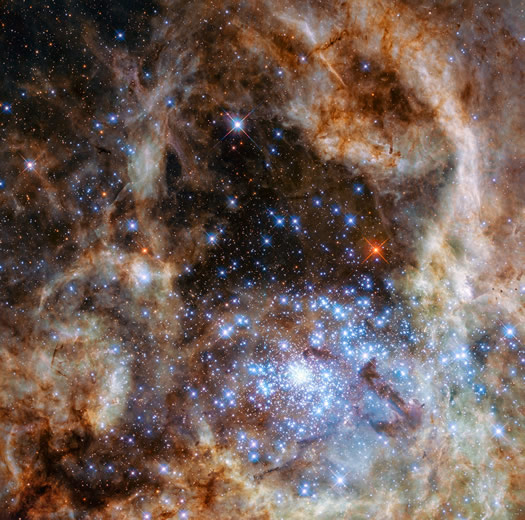 Macellan Bulutu'ndaki Tarantula Bulutsusu dev mavi yıldızlarla dolu R136 kümesini barındırmaktadır (NASA, ESA, P Crowther (University of Sheffield)).