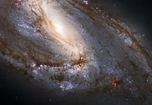 Hubble’dan Bir Gökadanın Anatomisi