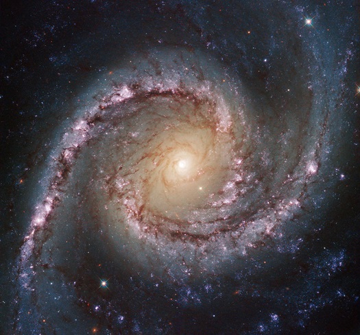 NGC 1566 Sarmal Gökadası