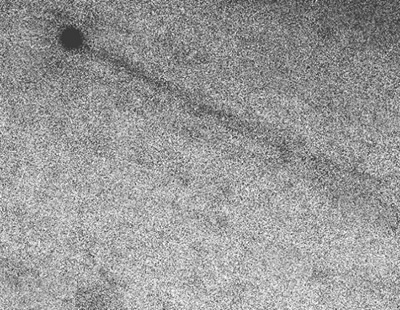 Kuyruklu Asteroit