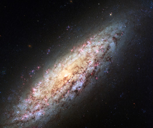 Yalnız Gökada: NGC 6503